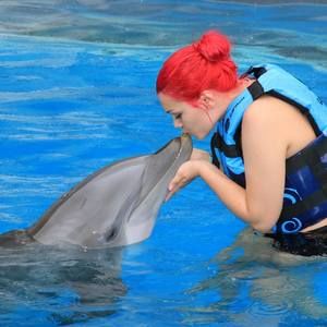 Meet your Posher, Jaylen